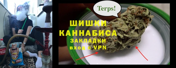 сатива Няндома