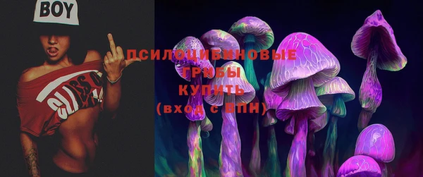 СК Осташков