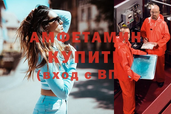 сатива Няндома