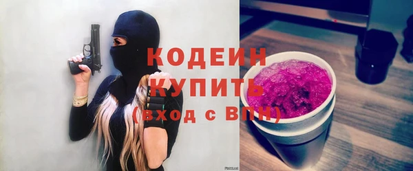 сатива Няндома