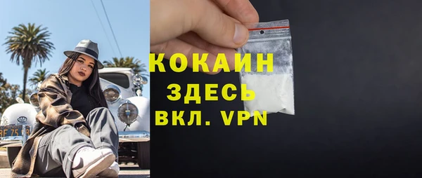 сатива Няндома