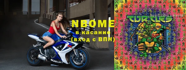 сатива Няндома