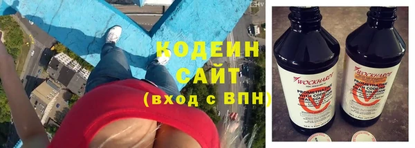 сатива Няндома