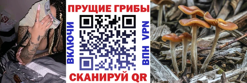 Псилоцибиновые грибы MAGIC MUSHROOMS  Полевской 