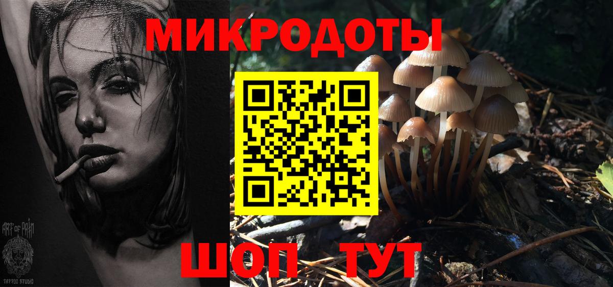 Псилоцибиновые грибы Cubensis Полевской