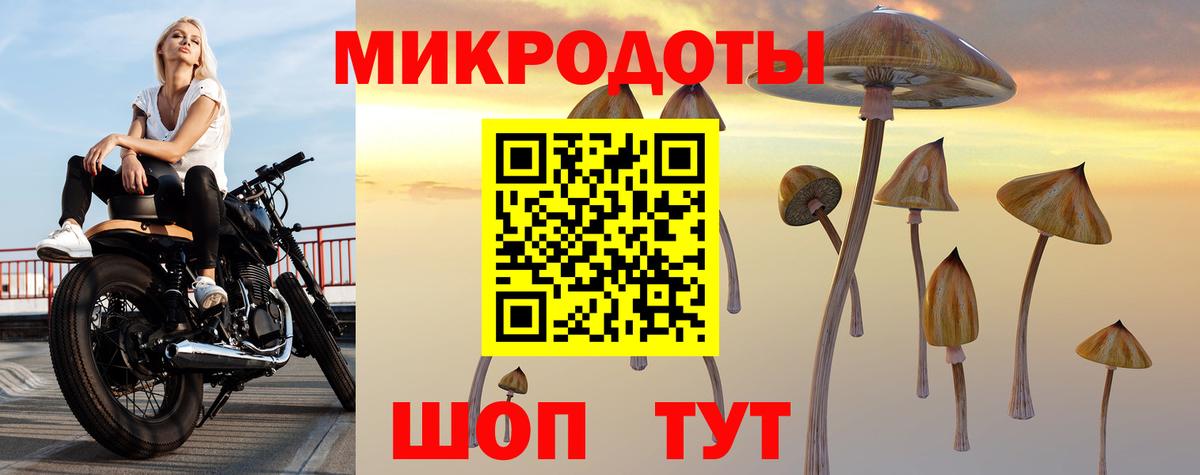 Галлюциногенные грибы Cubensis  Вход с VPN  Полевской 